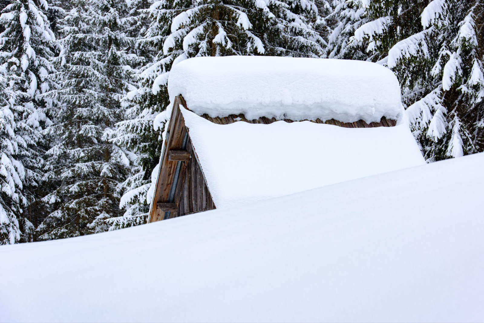 Small cabin roof buried under heavy snowpack surrounded by snow-covered evergreen trees.
